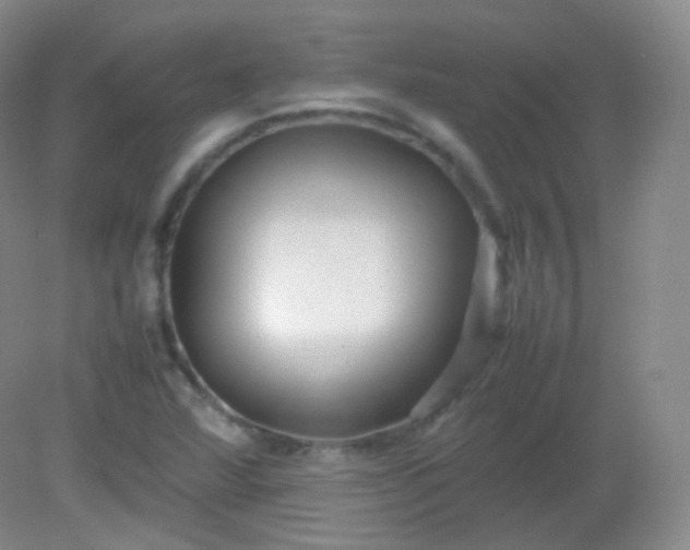 X0000082141360200702021558