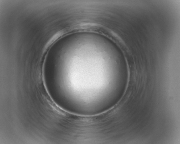 X0000082141362200702021558