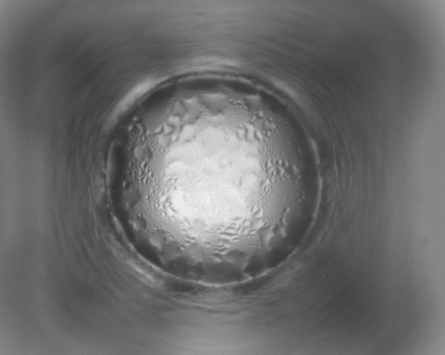 X0000082141363200702021558