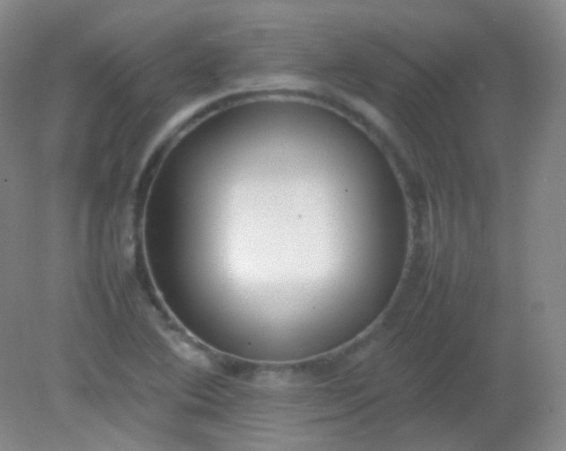 X0000082141364200702021558