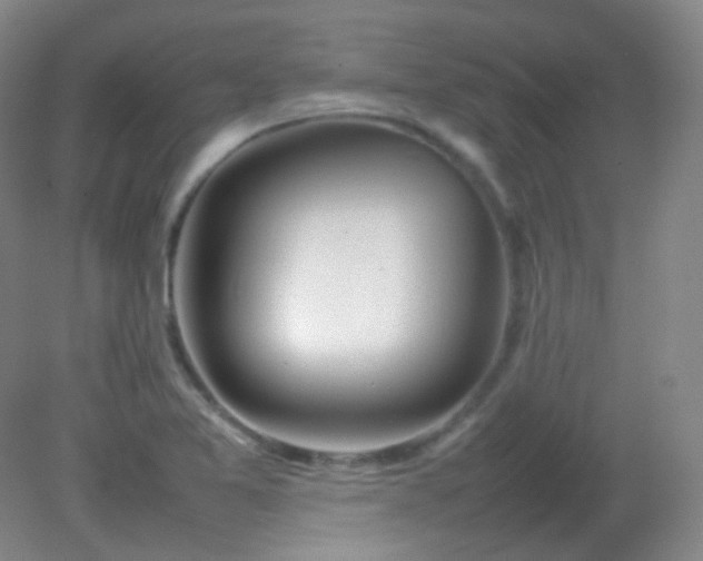 X0000082141365200702021558