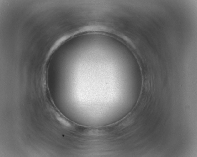 X0000082141366200702021558