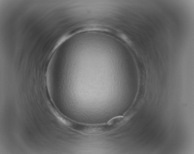 X0000082141369200702021558