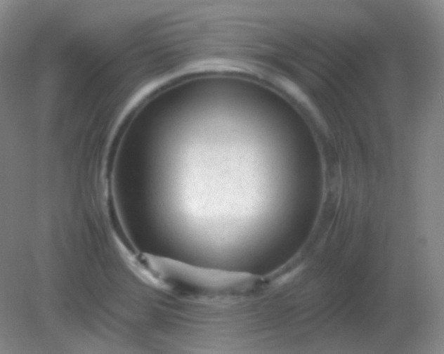 X0000082141372200702021558