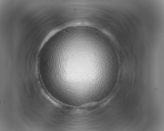 X0000082141374200702021558