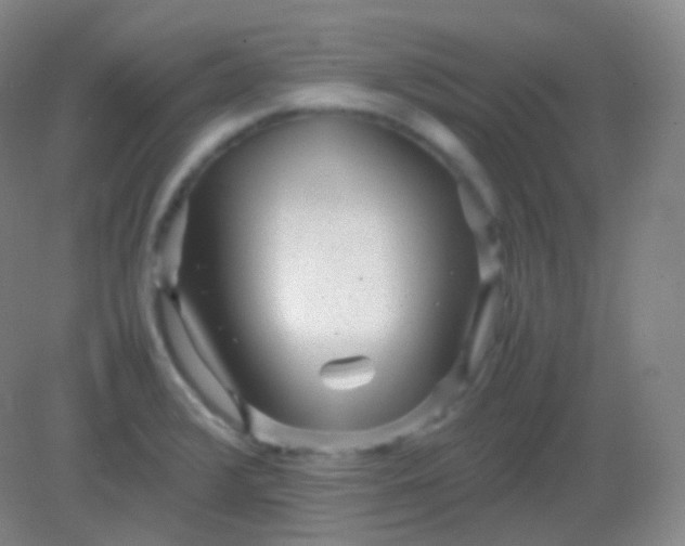 X0000082141376200702021558