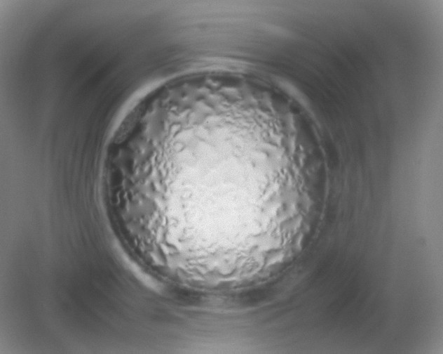 X0000082141379200702021558