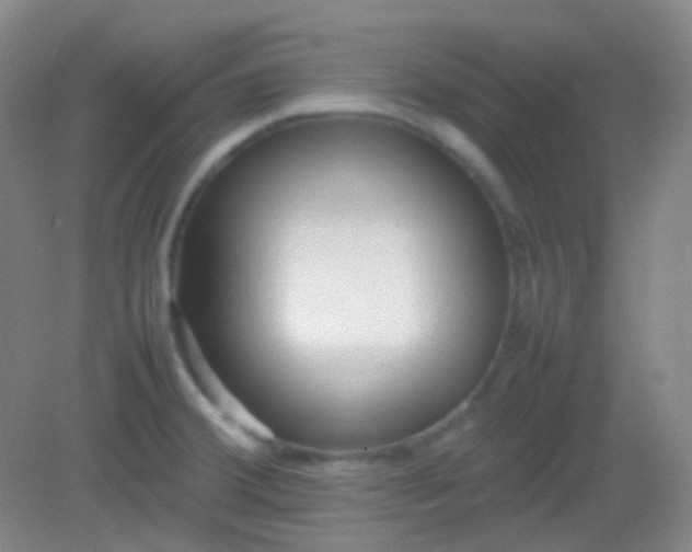 X0000082141380200702021558