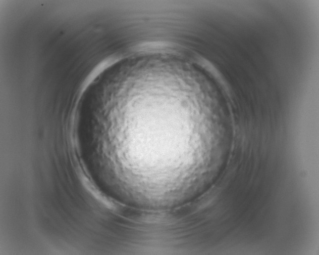 X0000082141386200702021558