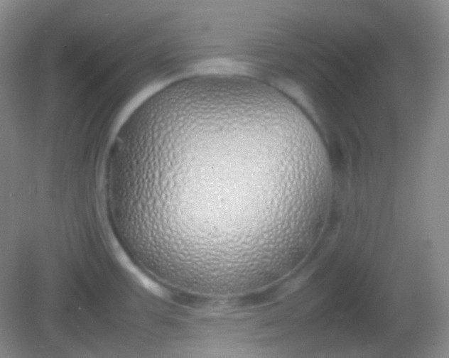 X0000082141387200702021558