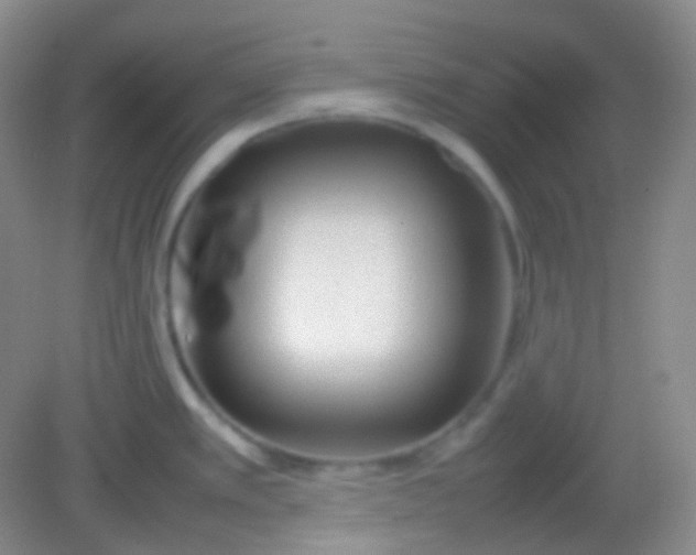 X0000082141389200702021558