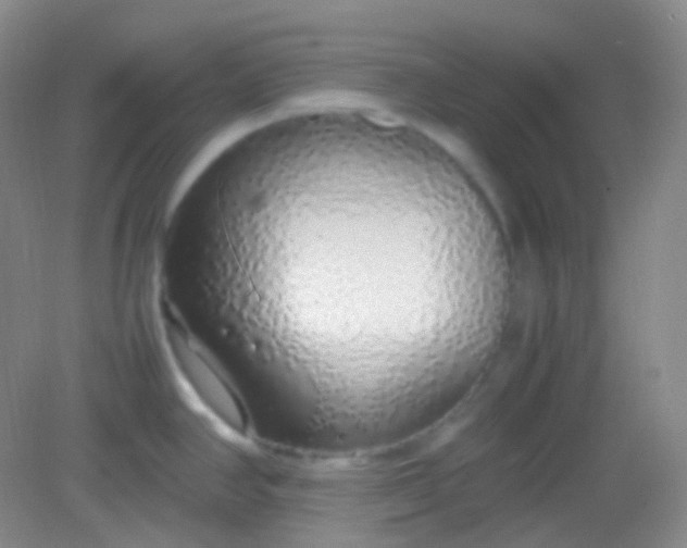 X0000082141390200702021558