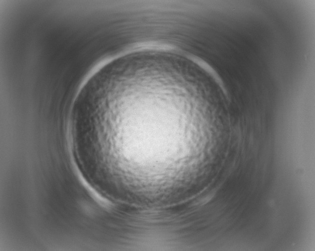 X0000082141391200702021558