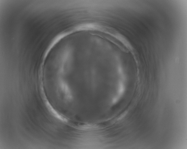 X0000082141392200702021558