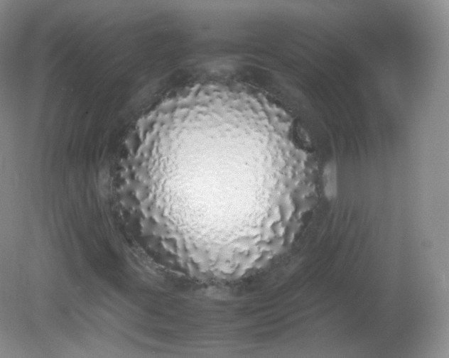 X0000082141395200702021557