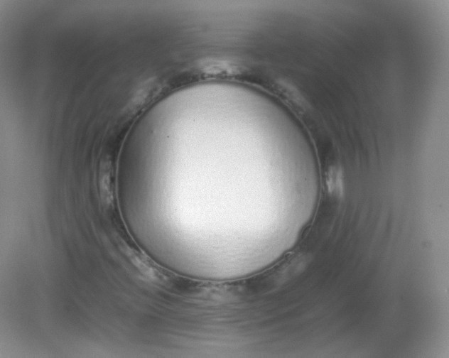 X0000082141396200702021557