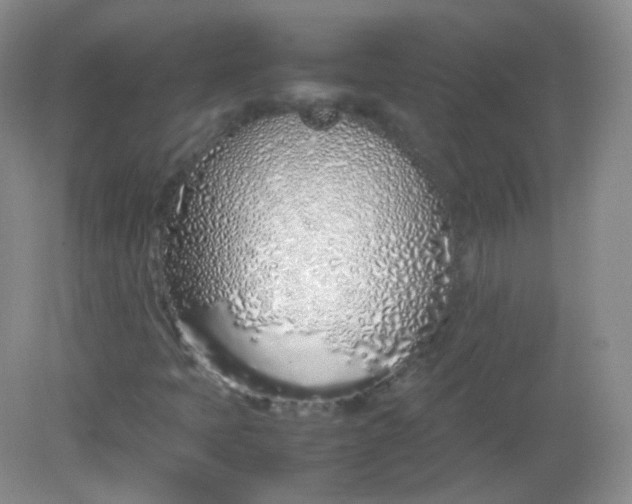 X0000082141397200702021557