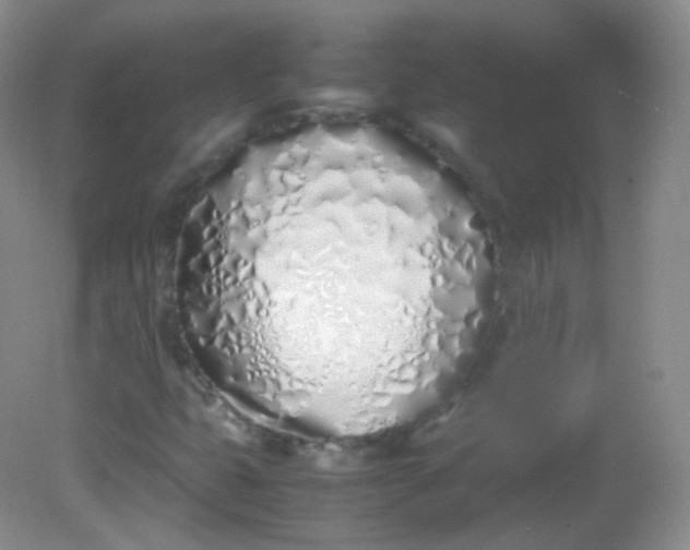 X0000082141399200702021557