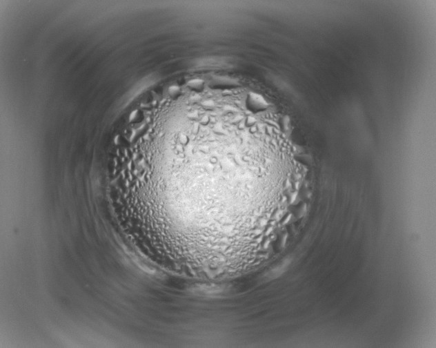 X0000082141401200702021557
