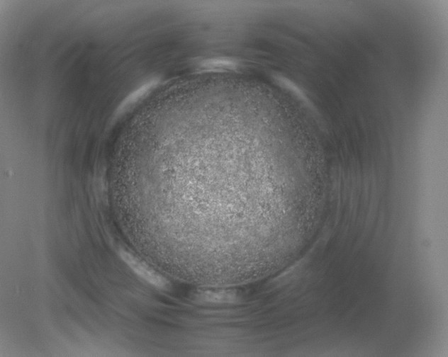 X0000082141403200702021557