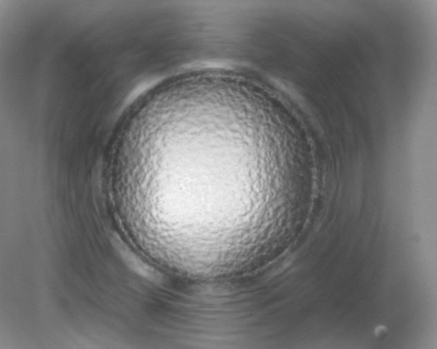 X0000082141404200702021557