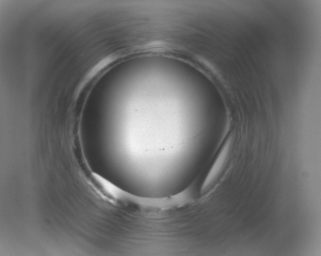 X0000082141410200702021557