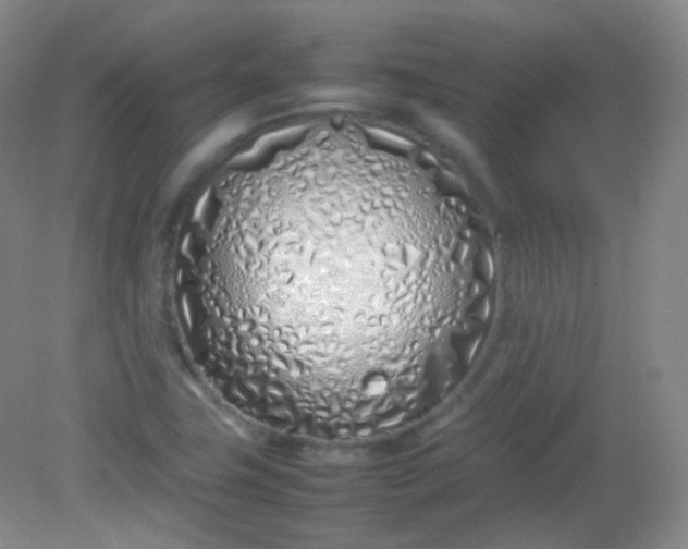 X0000082141411200702021557