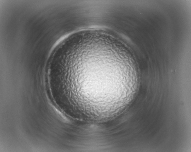 X0000082141412200702021557