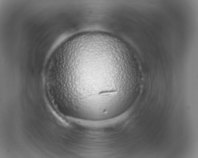 X0000082141416200702021557