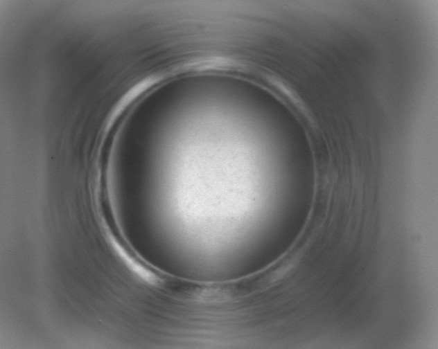 X0000082141418200702021557