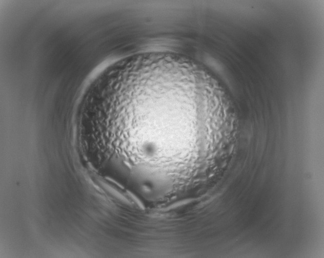 X0000082141419200702021557
