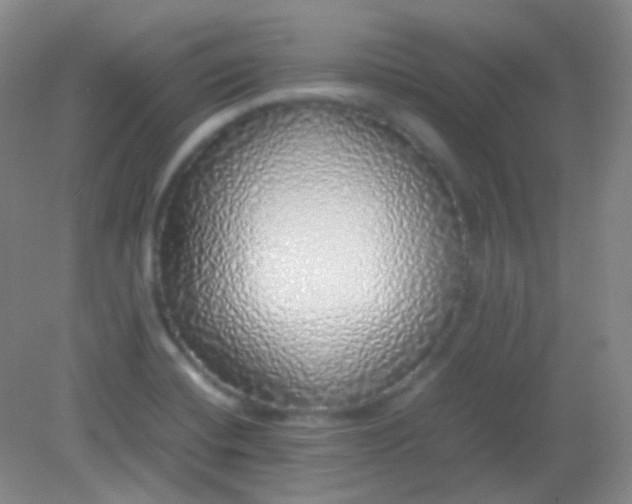 X0000082141420200702021557