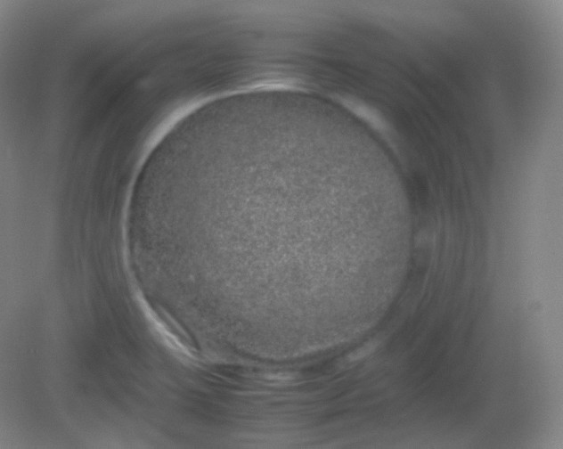 X0000082141423200702021557