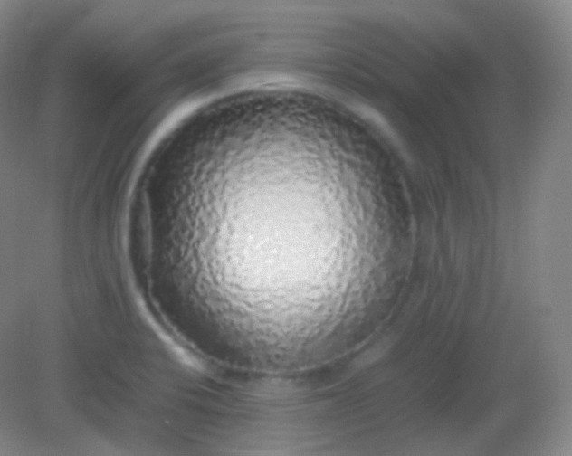 X0000082141424200702021557