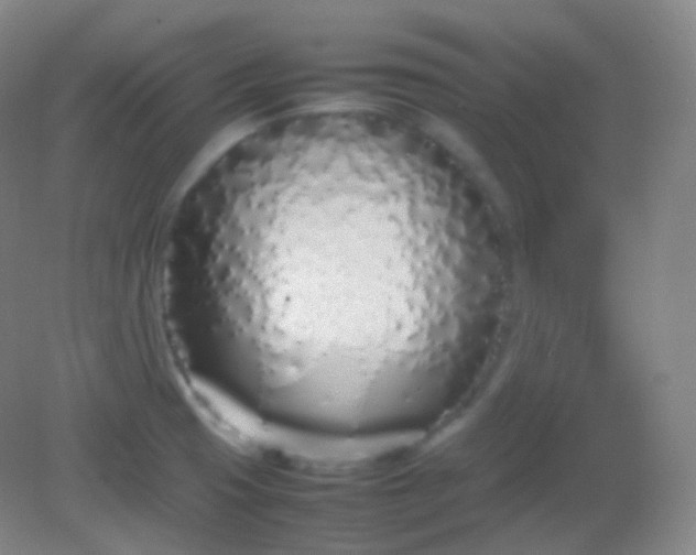X0000082141425200702021557