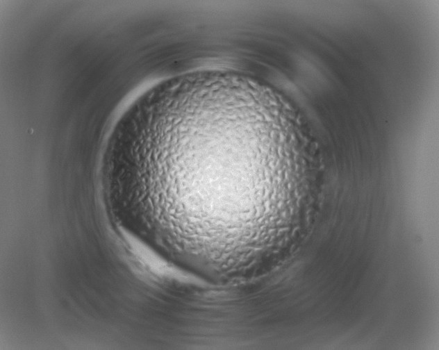 X0000082141427200702021557