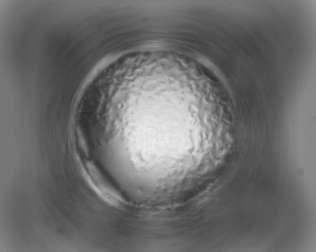 X0000082141429200702021557