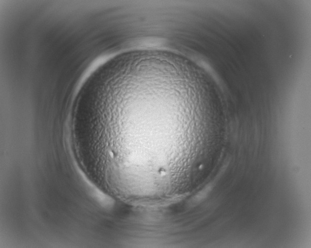 X0000082141432200702021558