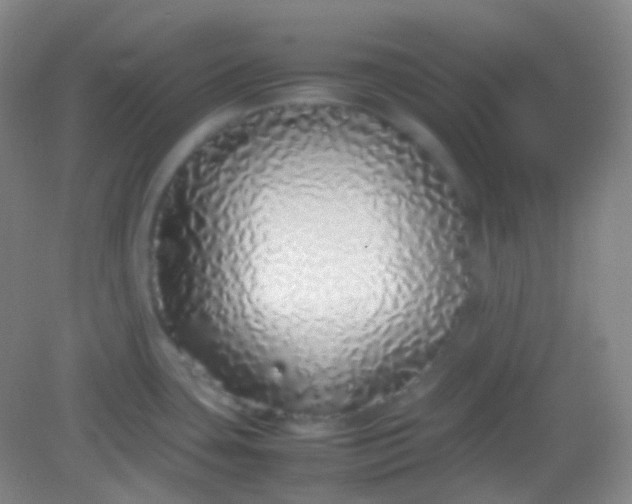 X0000082141435200702021558