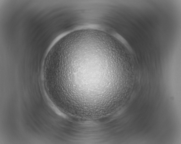 X0000082141436200702021558
