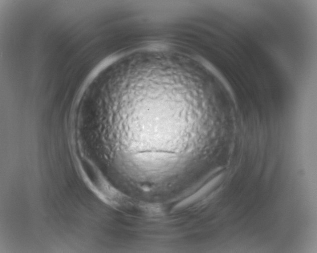 X0000082141437200702021558