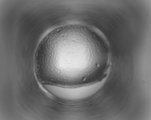 X0000082141439200702021558