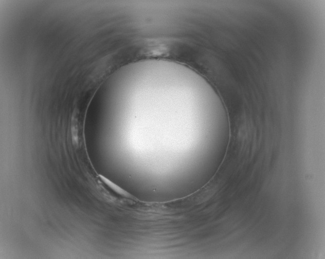 X0000082141442200702021557