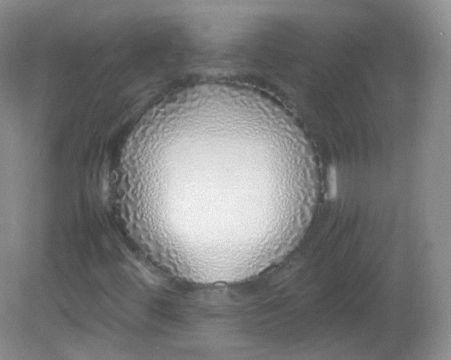 X0000082141444200702021557