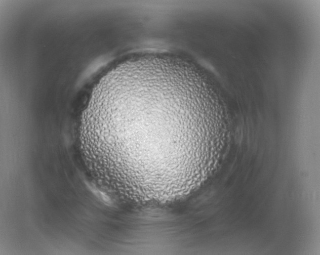 X0000082141448200702021557