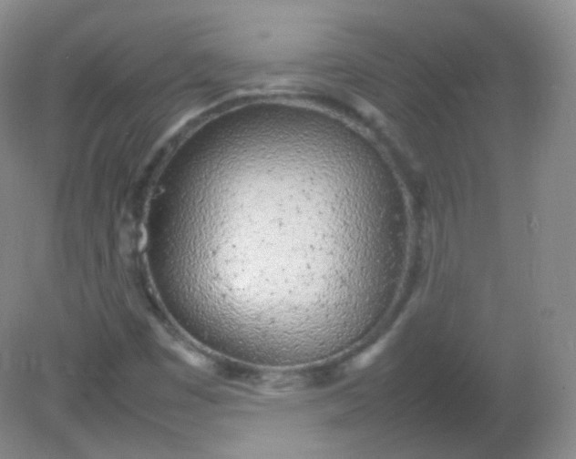 X0000082141449200702021557