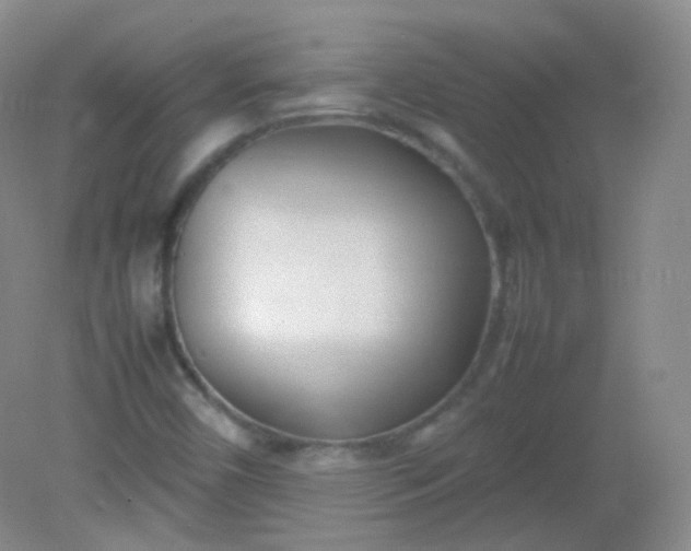 X0000082141450200702021557