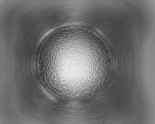 X0000082141452200702021557