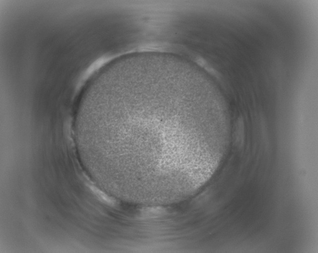 X0000082141454200702021557