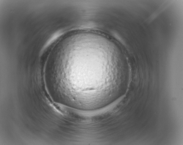 X0000082141456200702021557